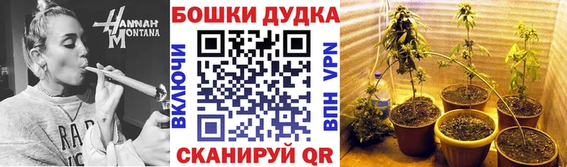 Где купить Зверево Галлюциногенные грибы Мефедрон Гашиш МАРИХУАНА Alpha PVP
