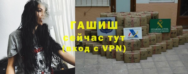 твердый Вяземский