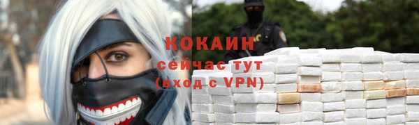 твердый Вяземский