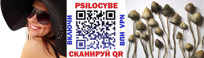 Галлюциногенные грибы прущие грибы Зверево