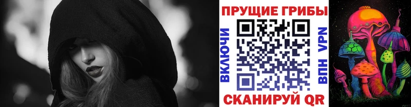 закладки  Зверево  Галлюциногенные грибы Psilocybe 