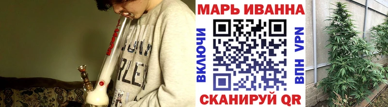 Конопля сатива  Зверево 